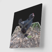 Black Chicken Pop Out_Square Wall Clock Vierkante Klok (Hoek)