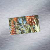 Black-Chinned Hummingbird in Flight Magnetisch Visitekaartje (Voorbeeld)