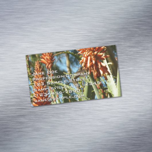 Black-Chinned Hummingbird in Flight Magnetisch Visitekaartje (Voorbeeld)