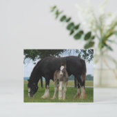 Black Clydesdale en Filly Briefkaart (Staand voorkant)