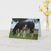 Black Clydesdale en Filly Kaart (Gele Bloem)
