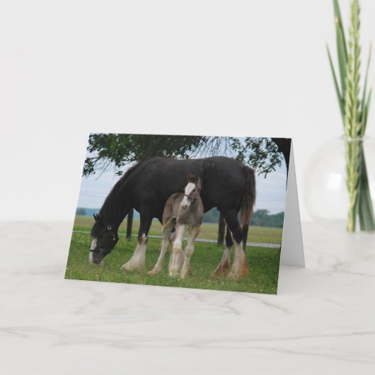 Black Clydesdale en Filly Kaart (Voorkant)