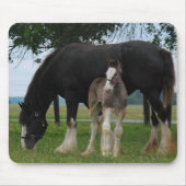 Black Clydesdale en Filly Muismat (Voorkant)