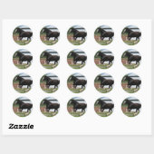 Black Clydesdale Ronde Sticker (Vel)