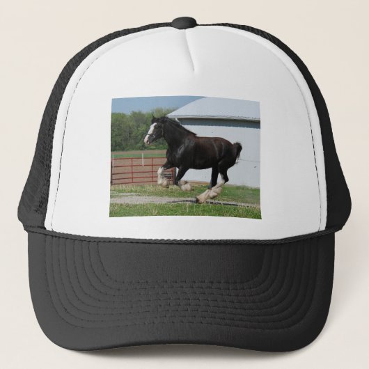 Black Clydesdale Trucker Pet (Voorkant)