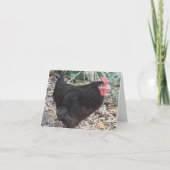 Black Cochin Chicken Photo Folded Note Kaart (Voorkant)