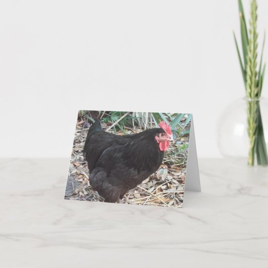 Black Cochin Chicken Photo Folded Note Kaart (Voorkant)