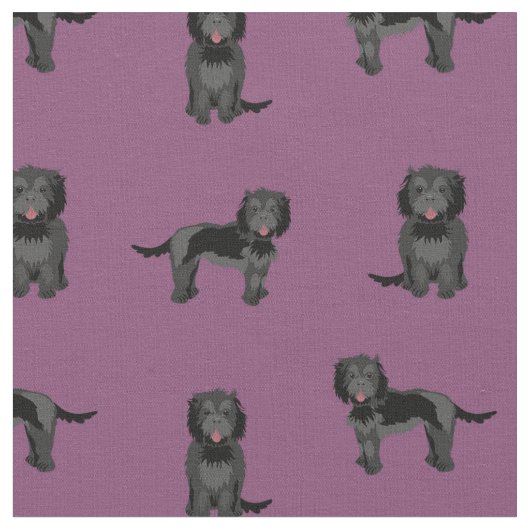 Black cockapoo dog dark paars stof (Close Up)