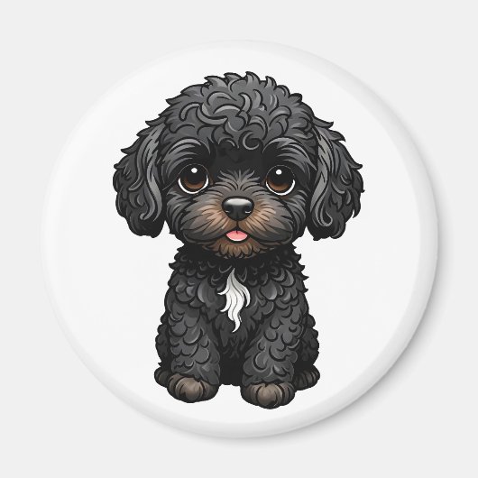 Black Cockapoo Magneet (Voorkant)