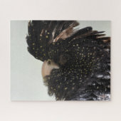 Black Cockatau Legpuzzel (Horizontaal)