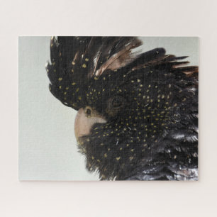 Black Cockatau Legpuzzel