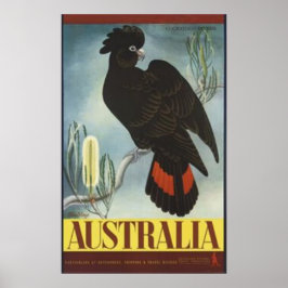 Black Cockatau Vintage Poster