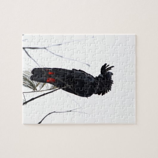 BLACK COCKATOO QUEENSLAND AUSTRALIË LEGPUZZEL (Horizontaal)