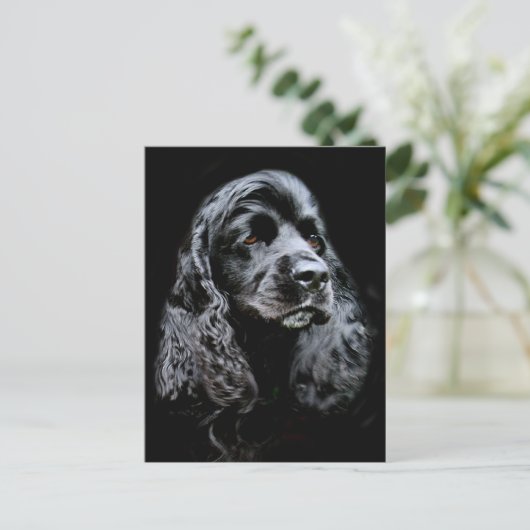 Black Cocker Spaniel Briefkaart (Staand voorkant)