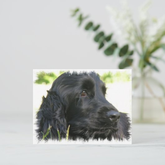 Black Cocker Spaniel Dog Briefkaart (Staand voorkant)