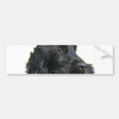 Black Cocker Spaniel Dog Bumpersticker (Voorkant)