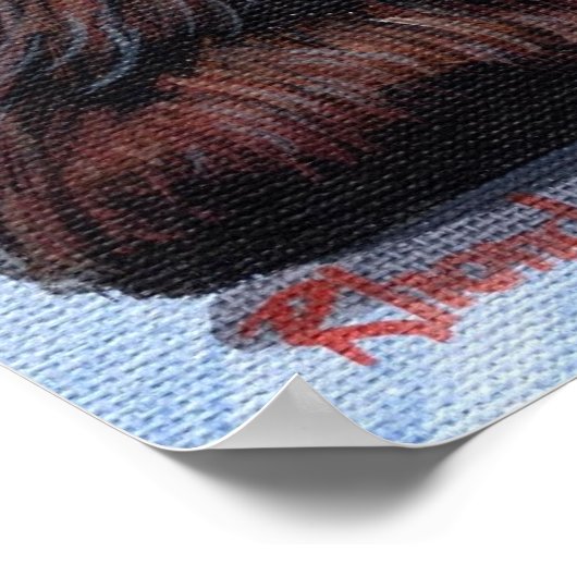 Black Cocker Spaniel Dog Portret Poster (Hoek)