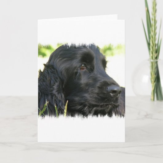 Black Cocker Spaniel Dog Wenskaart Kaart (Voorkant)