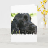 Black Cocker Spaniel Dog Wenskaart Kaart (Gele Bloem)
