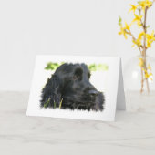 Black Cocker Spaniel Dog Wenskaart Kaart (Gele Bloem)