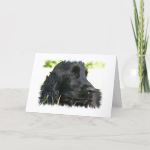 Black Cocker Spaniel Dog Wenskaart Kaart
