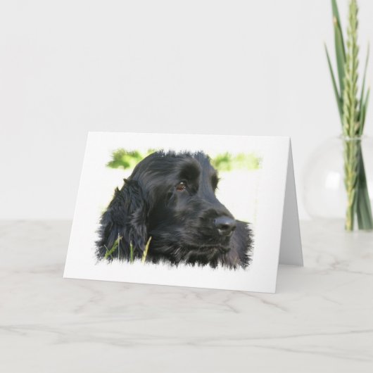 Black Cocker Spaniel Dog Wenskaart Kaart (Voorkant)