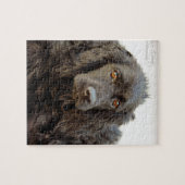 Black Cocker Spaniel "Harley" Legpuzzel (Horizontaal)