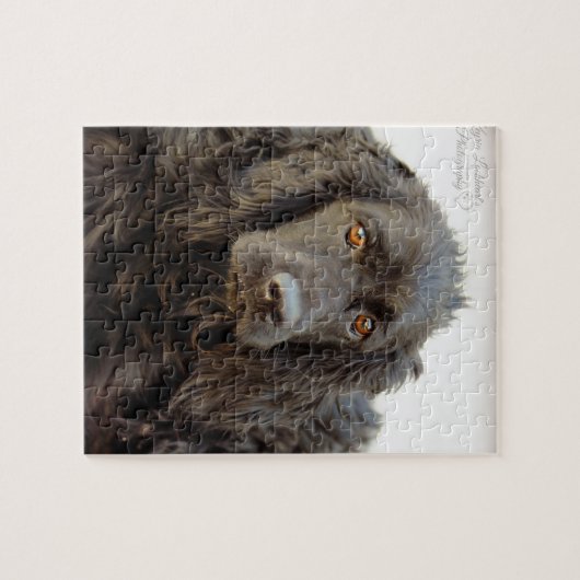 Black Cocker Spaniel "Harley" Legpuzzel (Horizontaal)