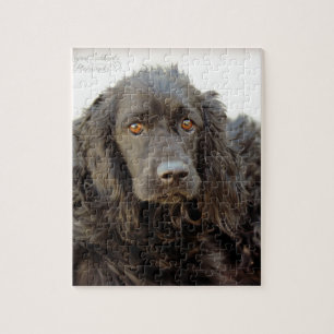 Black Cocker Spaniel "Harley" Legpuzzel