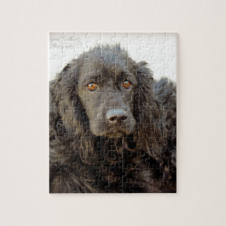 Black Cocker Spaniel "Harley" Legpuzzel