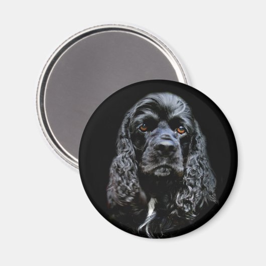Black Cocker Spaniel Magneet (Voorkant / Achterkant)