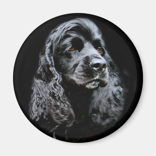Black Cocker Spaniel Magneet (Voorkant)