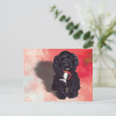 Black Cocker Spaniel Puppy - Abby Briefkaart (Staand voorkant)