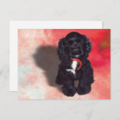 Black Cocker Spaniel Puppy - Abby Briefkaart (Voorkant / Achterkant)