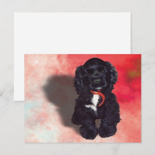 Black Cocker Spaniel Puppy - Abby Briefkaart (Voorkant / Achterkant)