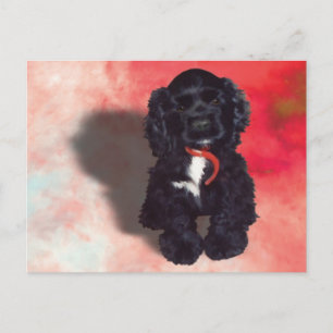 Black Cocker Spaniel Puppy - Abby Briefkaart