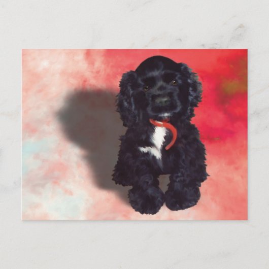Black Cocker Spaniel Puppy - Abby Briefkaart (Voorkant)