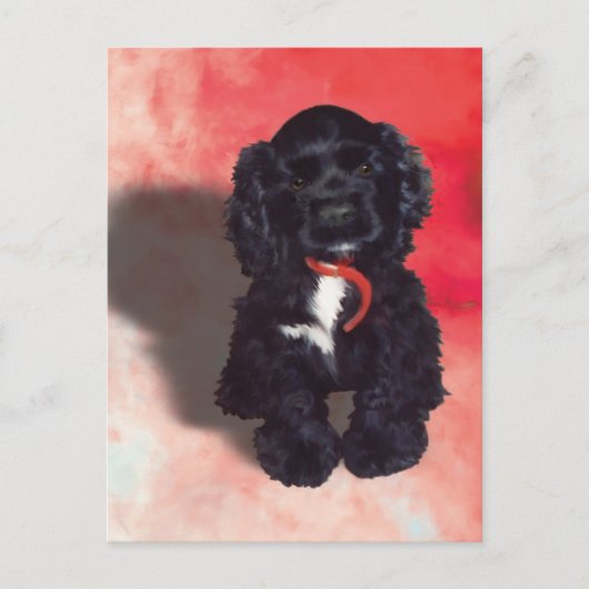 Black Cocker Spaniel Puppy - Abby Briefkaart (Voorkant)