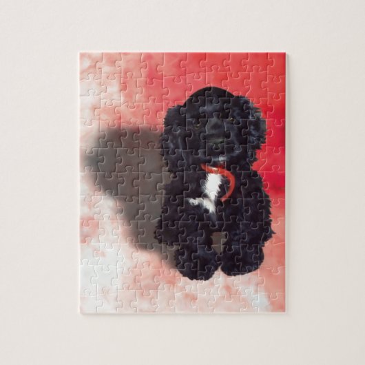 Black Cocker Spaniel Puppy - Abby Legpuzzel (Verticaal)