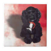 Black Cocker Spaniel Puppy - Abby Tegeltje (Voorkant)