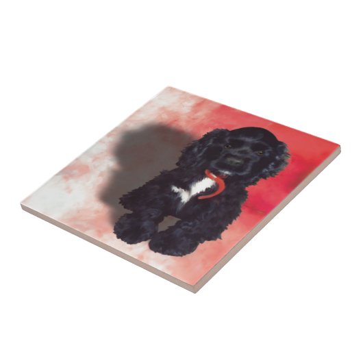 Black Cocker Spaniel Puppy - Abby Tegeltje (Zijkant)