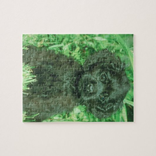 Black Cocker Spaniel Puppy Dog Puzzle Legpuzzel (Horizontaal)
