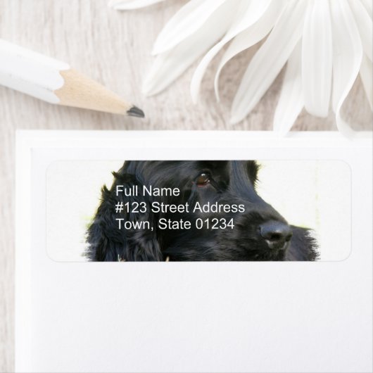 Black Cocker Spaniel Return Label (Insitu)