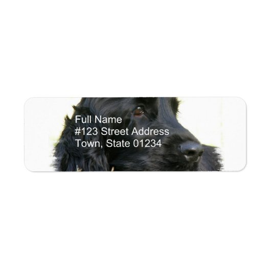 Black Cocker Spaniel Return Label (Voorkant)