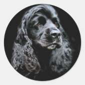 Black Cocker Spaniel Ronde Sticker (Voorkant)