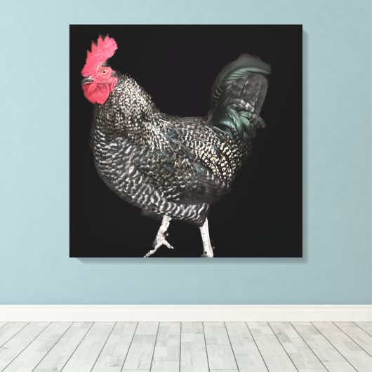 Black Cocrele No. 4 Canvas Afdruk (Insitu (Houten vloer))