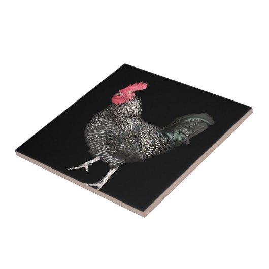 Black Cocrele No. 4 Tegeltje (Zijkant)