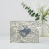 Black Conch Seashell met golfslag Briefkaart (Staand voorkant)