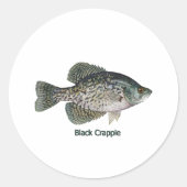 Black Crappie (getiteld) Ronde Sticker (Voorkant)