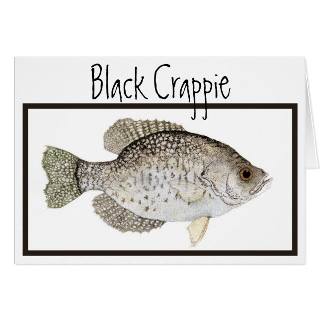 Black Crappie-kaart (Voorkant Horizontaal)